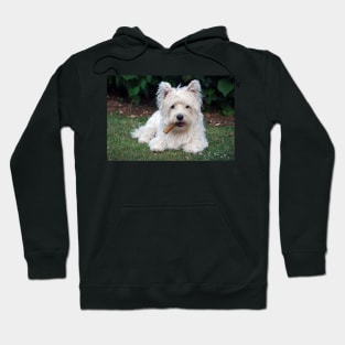 Westie Hoodie